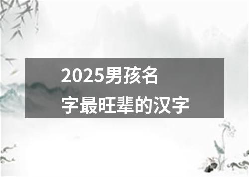 2025男孩名字最旺辈的汉字