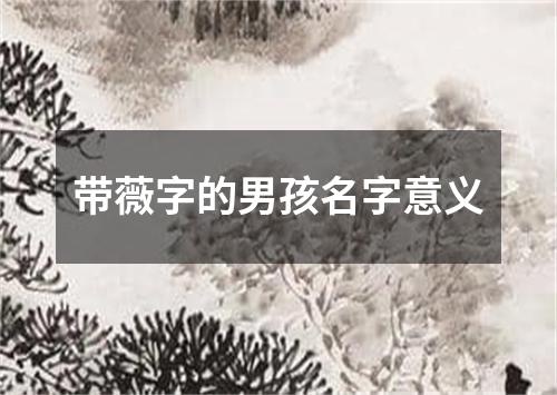 带薇字的男孩名字意义