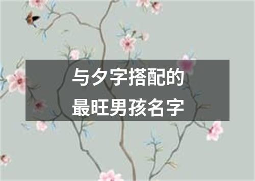 与夕字搭配的最旺男孩名字