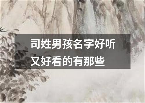 司姓男孩名字好听又好看的有那些