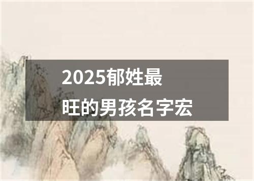2025郁姓最旺的男孩名字宏