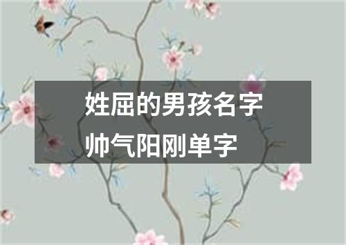 姓屈的男孩名字帅气阳刚单字