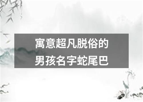 寓意超凡脱俗的男孩名字蛇尾巴