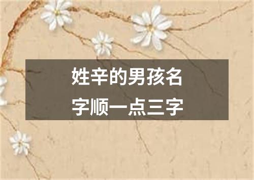 姓辛的男孩名字顺一点三字