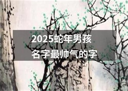 2025蛇年男孩名字最帅气的字
