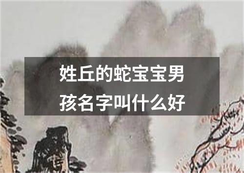 姓丘的蛇宝宝男孩名字叫什么好