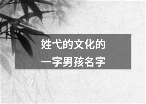 姓弋的文化的一字男孩名字