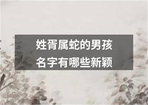 姓胥属蛇的男孩名字有哪些新颖
