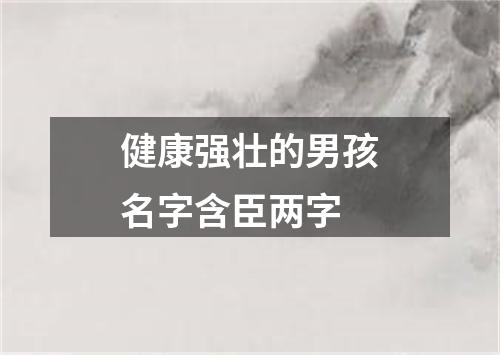 健康强壮的男孩名字含臣两字