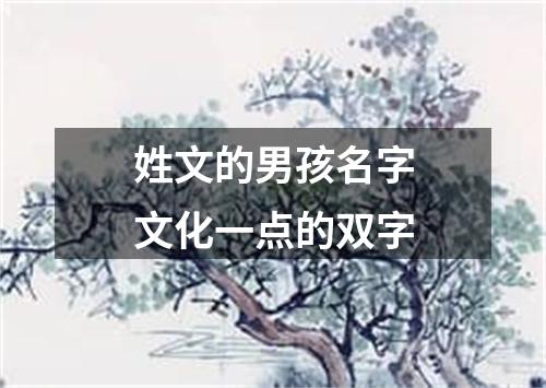 姓文的男孩名字文化一点的双字