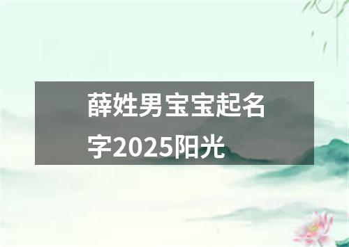 薛姓男宝宝起名字2025阳光