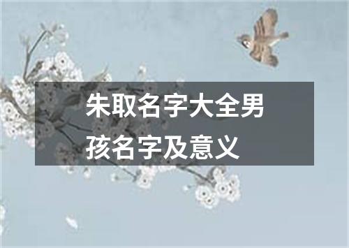 朱取名字大全男孩名字及意义