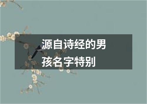 源自诗经的男孩名字特别