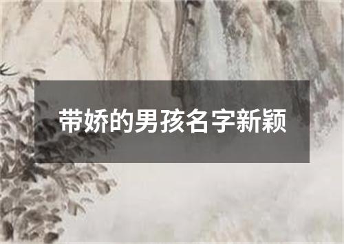带娇的男孩名字新颖