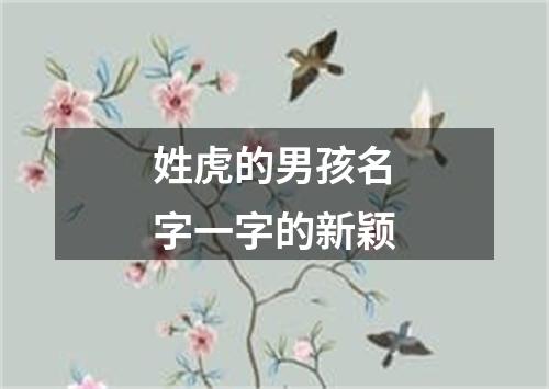 姓虎的男孩名字一字的新颖