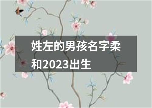 姓左的男孩名字柔和2023出生