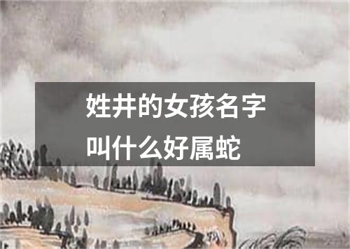 姓井的女孩名字叫什么好属蛇