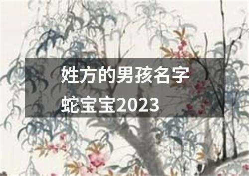 姓方的男孩名字蛇宝宝2023