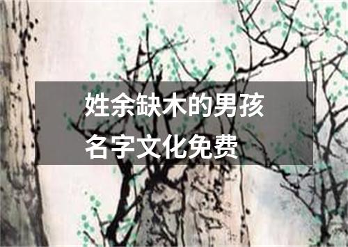 姓余缺木的男孩名字文化免费