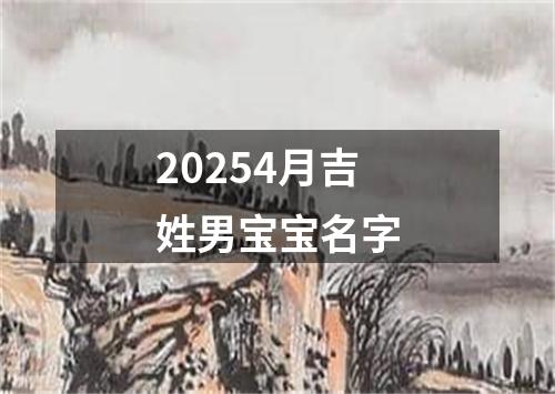 20254月吉姓男宝宝名字