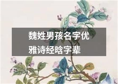 魏姓男孩名字优雅诗经晗字辈