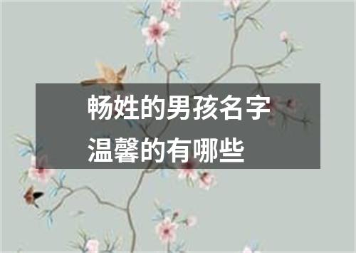 畅姓的男孩名字温馨的有哪些