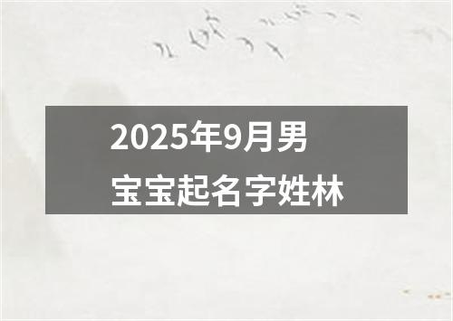 2025年9月男宝宝起名字姓林