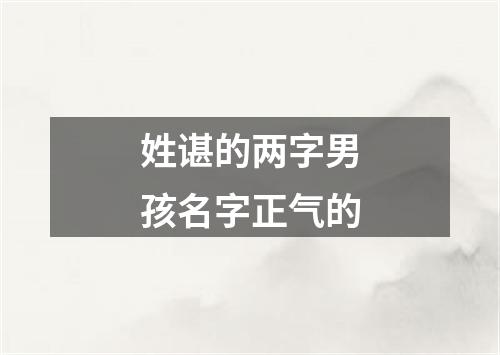 姓谌的两字男孩名字正气的