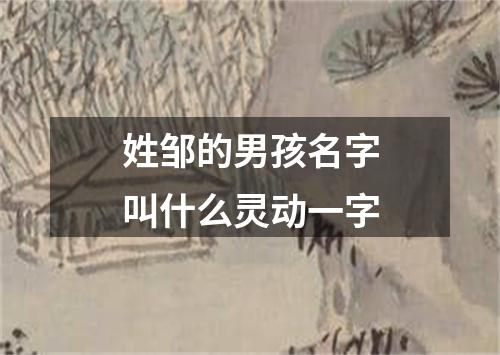 姓邹的男孩名字叫什么灵动一字
