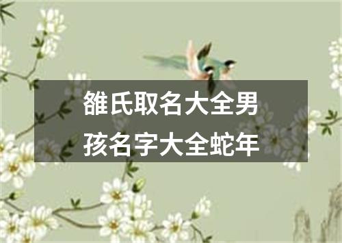 雒氏取名大全男孩名字大全蛇年
