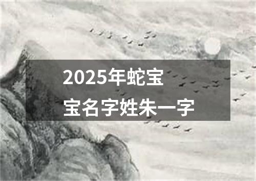 2025年蛇宝宝名字姓朱一字