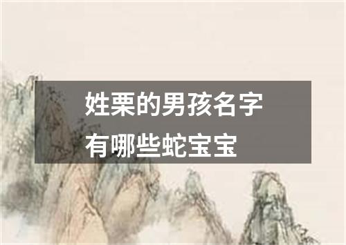 姓栗的男孩名字有哪些蛇宝宝