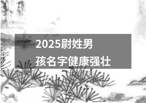 2025尉姓男孩名字健康强壮