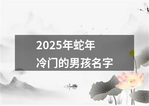 2025年蛇年冷门的男孩名字