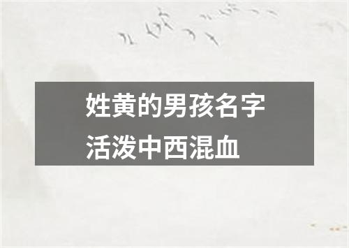 姓黄的男孩名字活泼中西混血