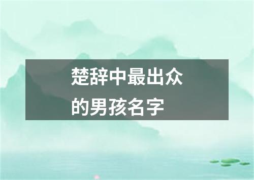 楚辞中最出众的男孩名字