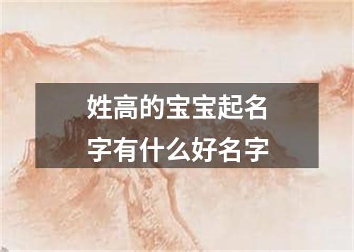 姓高的宝宝起名字有什么好名字