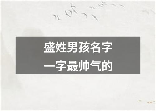 盛姓男孩名字一字最帅气的