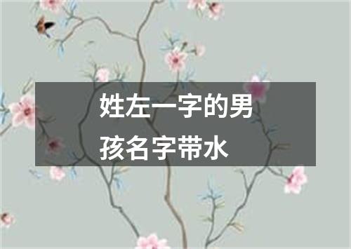 姓左一字的男孩名字带水