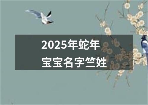 2025年蛇年宝宝名字竺姓