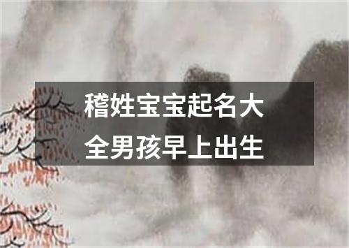 稽姓宝宝起名大全男孩早上出生