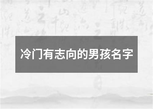 冷门有志向的男孩名字