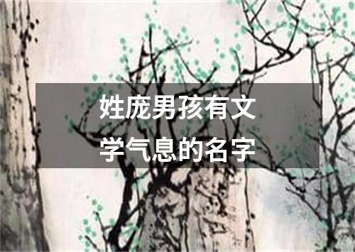 姓庞男孩有文学气息的名字
