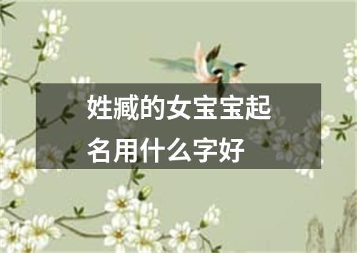 姓臧的女宝宝起名用什么字好