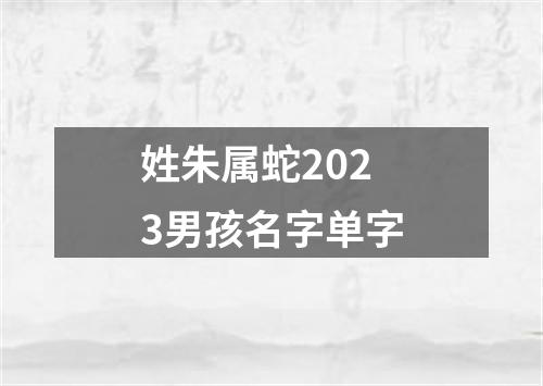姓朱属蛇2023男孩名字单字