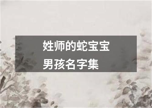 姓师的蛇宝宝男孩名字集