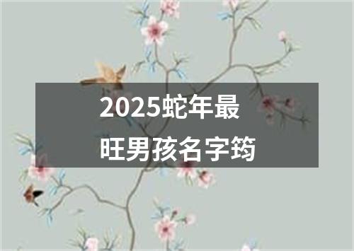2025蛇年最旺男孩名字筠