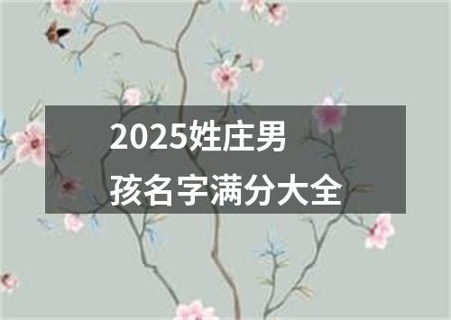 2025姓庄男孩名字满分大全