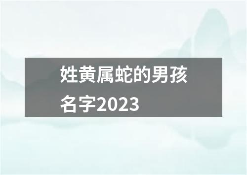 姓黄属蛇的男孩名字2023