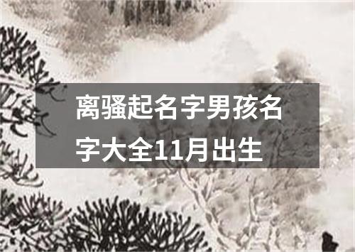 离骚起名字男孩名字大全11月出生